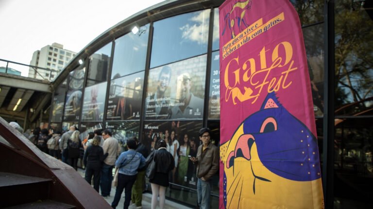 GoldeN GatoFest transforma São Paulo em ponto de encontro para apaixonados por gatos com atrações gratuitas em 8 de agosto