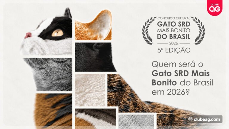 Woolie realiza 5ª edição de concurso que irá eleger o gato SRD mais bonito com votação popular e inscrições gratuitas